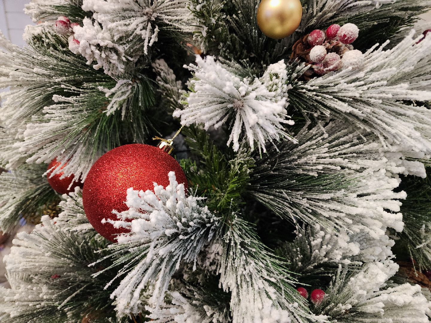 вертикалки, мытищи, резиденция деда мороза,