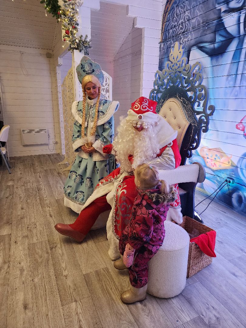 вертикалки, мытищи, резиденция деда мороза,