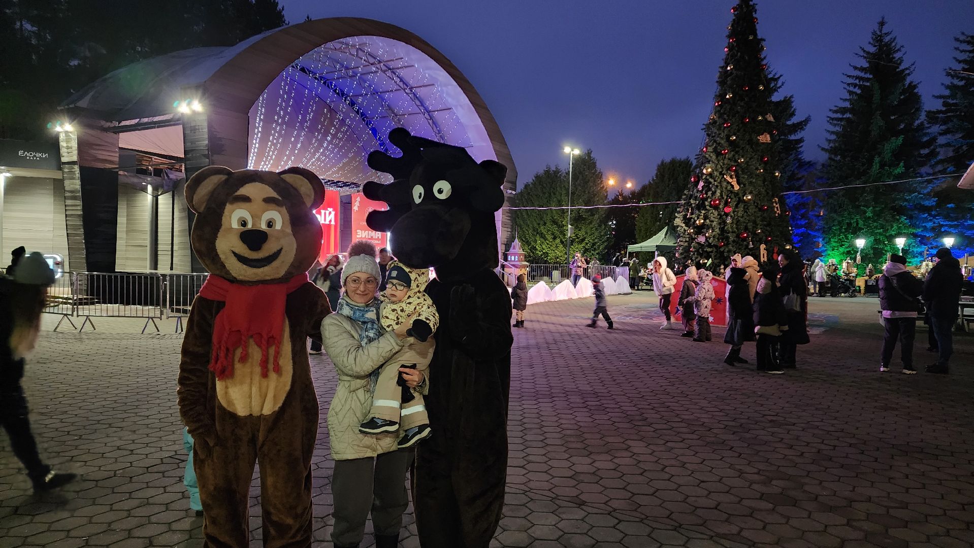 домодедедово, Парк Елочки, Подмосковье, Зимний сезон, зима в парках, зима в подмосковье, вертикалки,