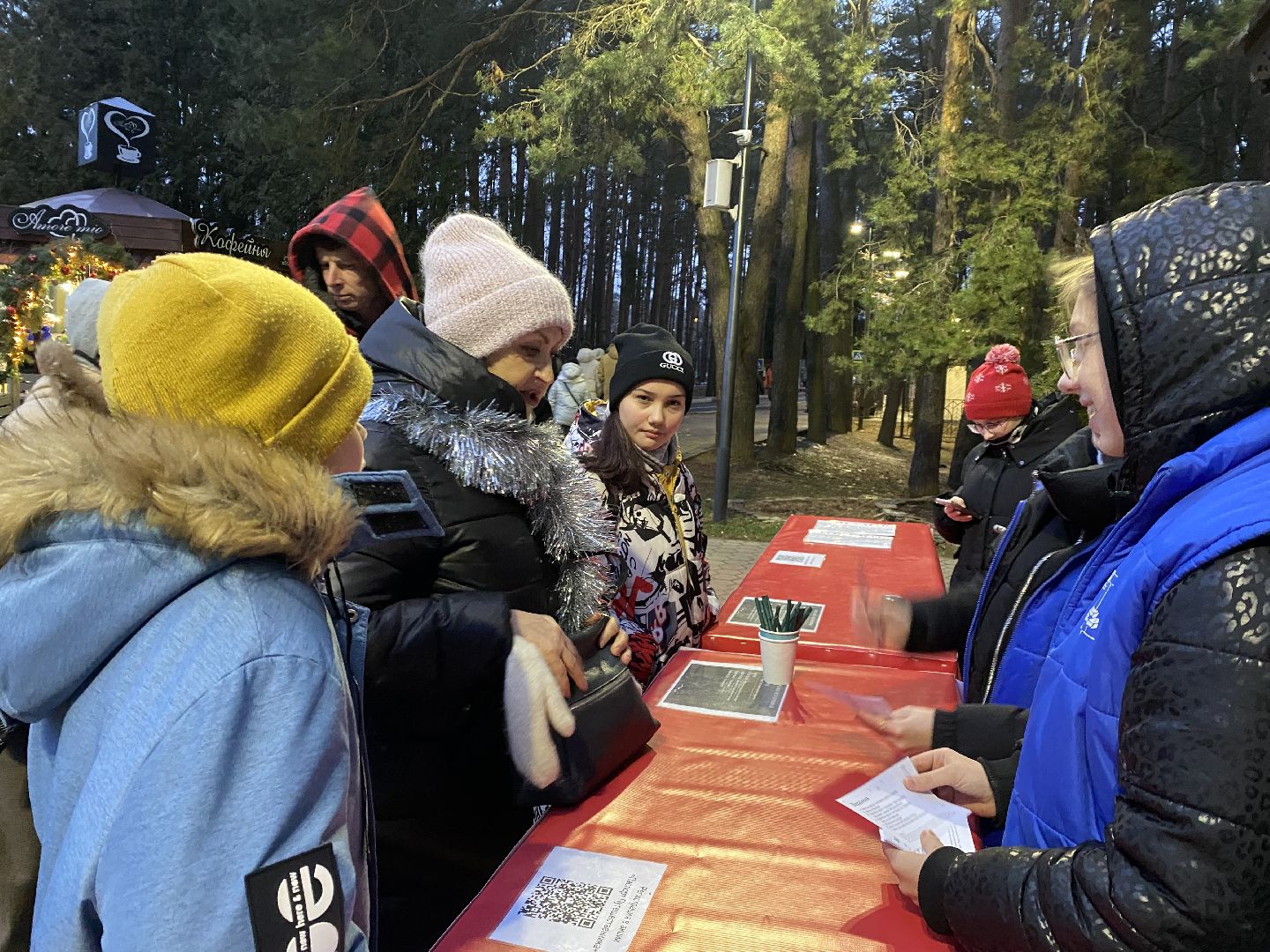 домодедедово, Парк Елочки, Подмосковье, Зимний сезон, зима в парках, зима в подмосковье, вертикалки,