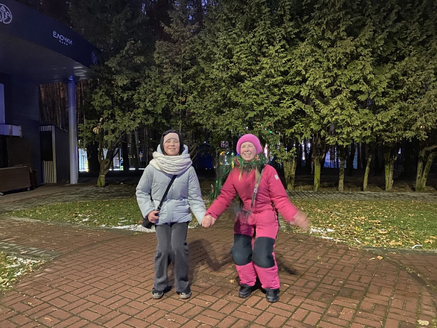 домодедедово, Парк Елочки, Подмосковье, Зимний сезон, зима в парках, зима в подмосковье, вертикалки,