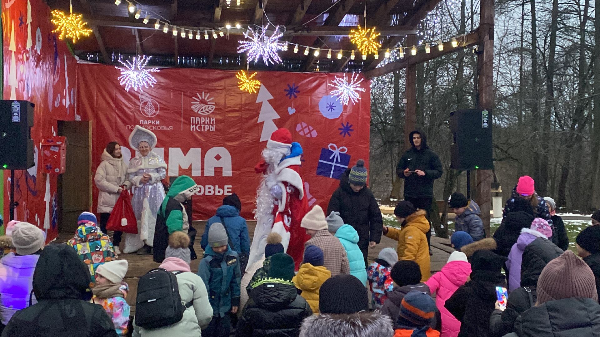 Праздник, парк, вертикалкизима в подмосковье,