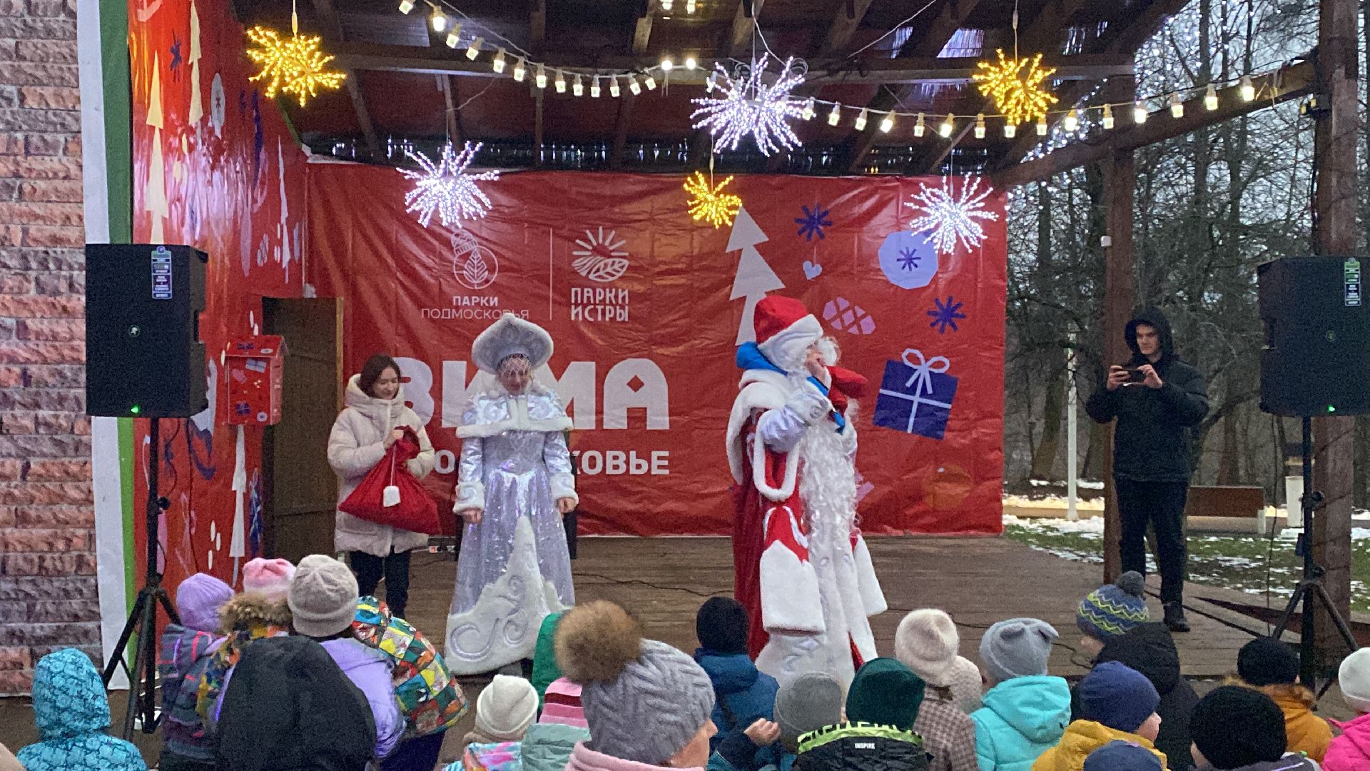 Праздник, парк, вертикалкизима в подмосковье,