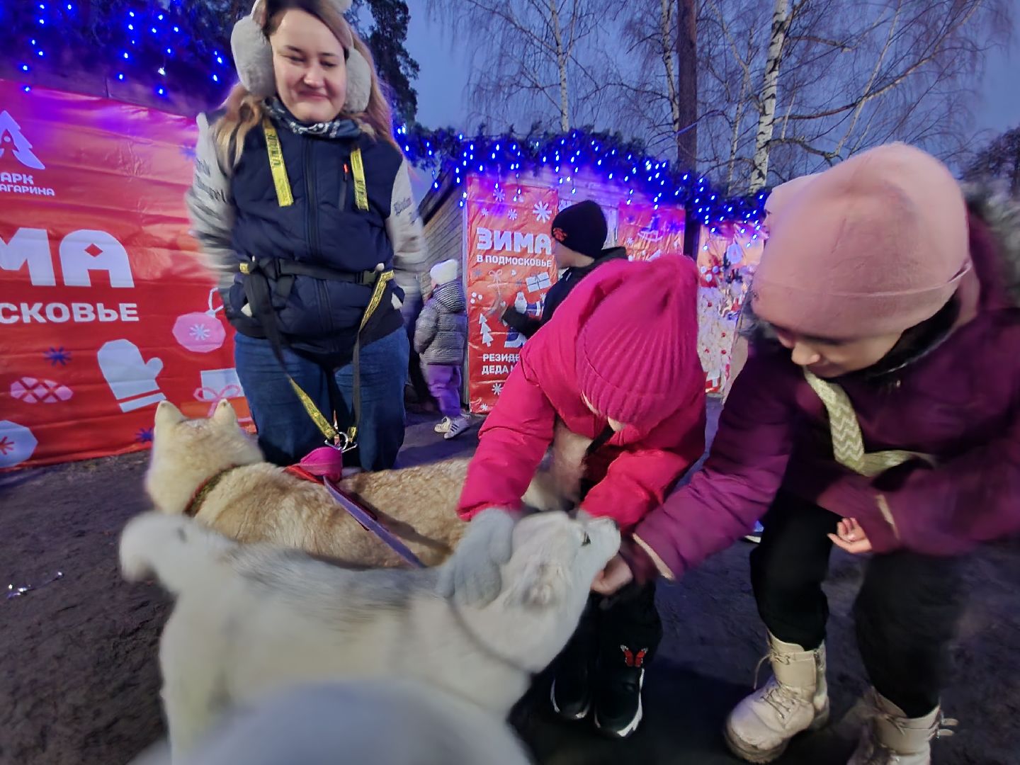 шатура, зима 2024, зима в парках, праздник, парки подмосковья, зима в подмосковье, вертикалки,