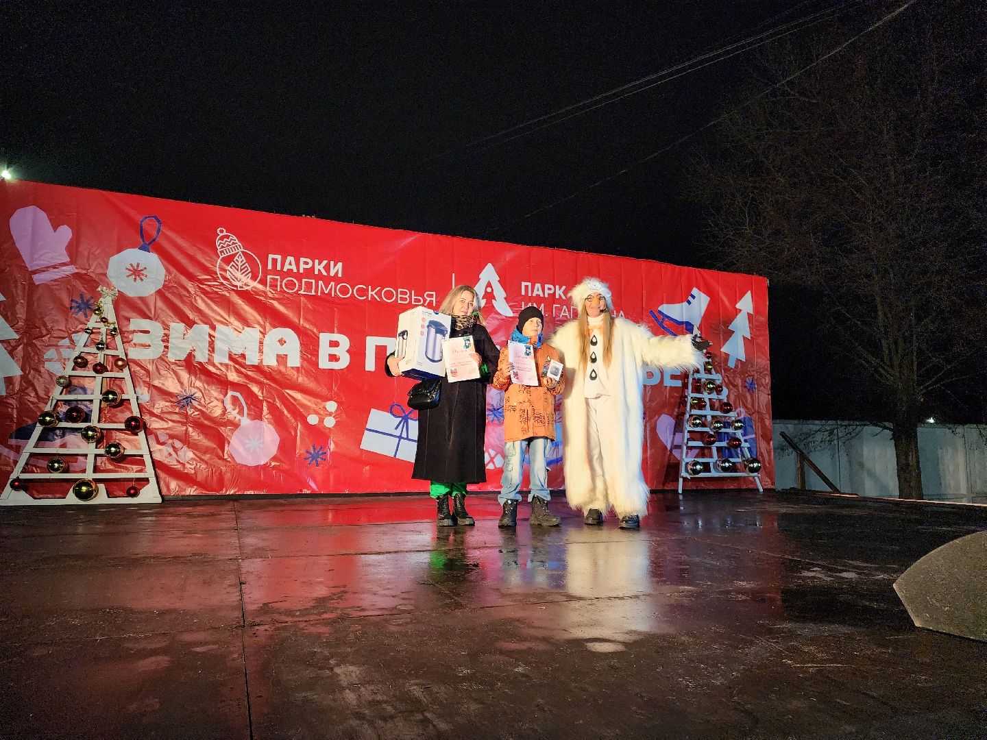 шатура, зима 2024, зима в парках, праздник, парки подмосковья, зима в подмосковье, вертикалки,