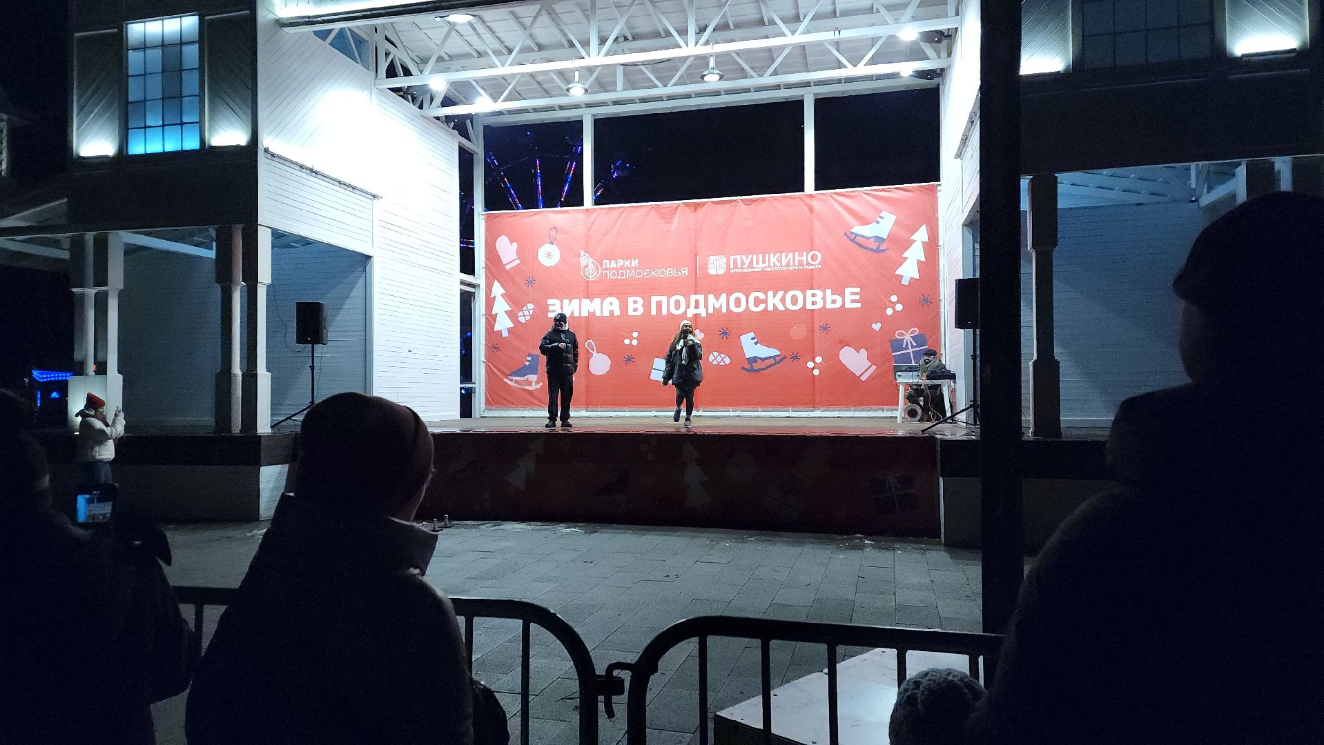 вертикалки, пушкино, центральный парк, зима в подмосковье, концерт, шоу, зрители, театр,