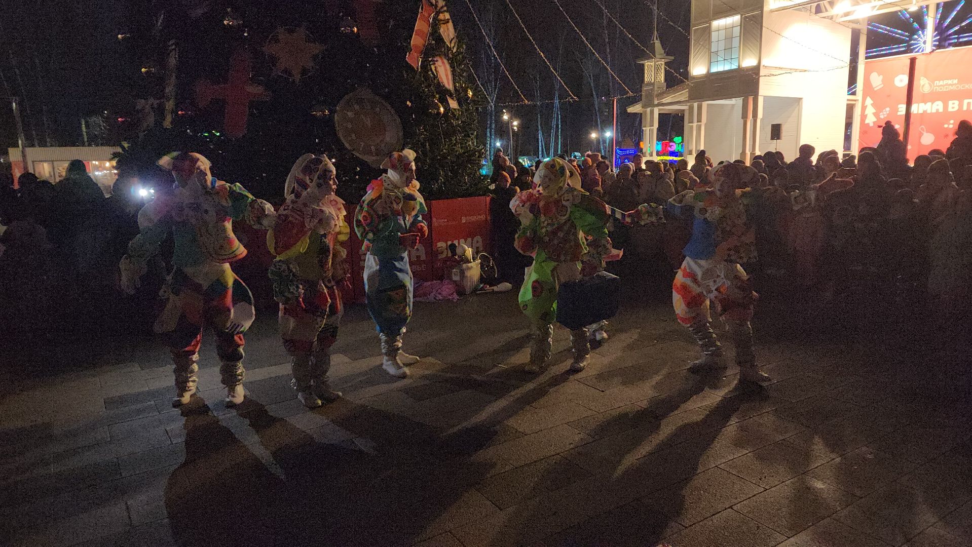 вертикалки, пушкино, центральный парк, зима в подмосковье, концерт, шоу, зрители, театр,