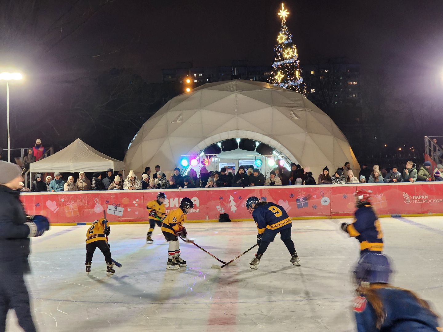 вертикалки,каток, открытие катка, мытищи,