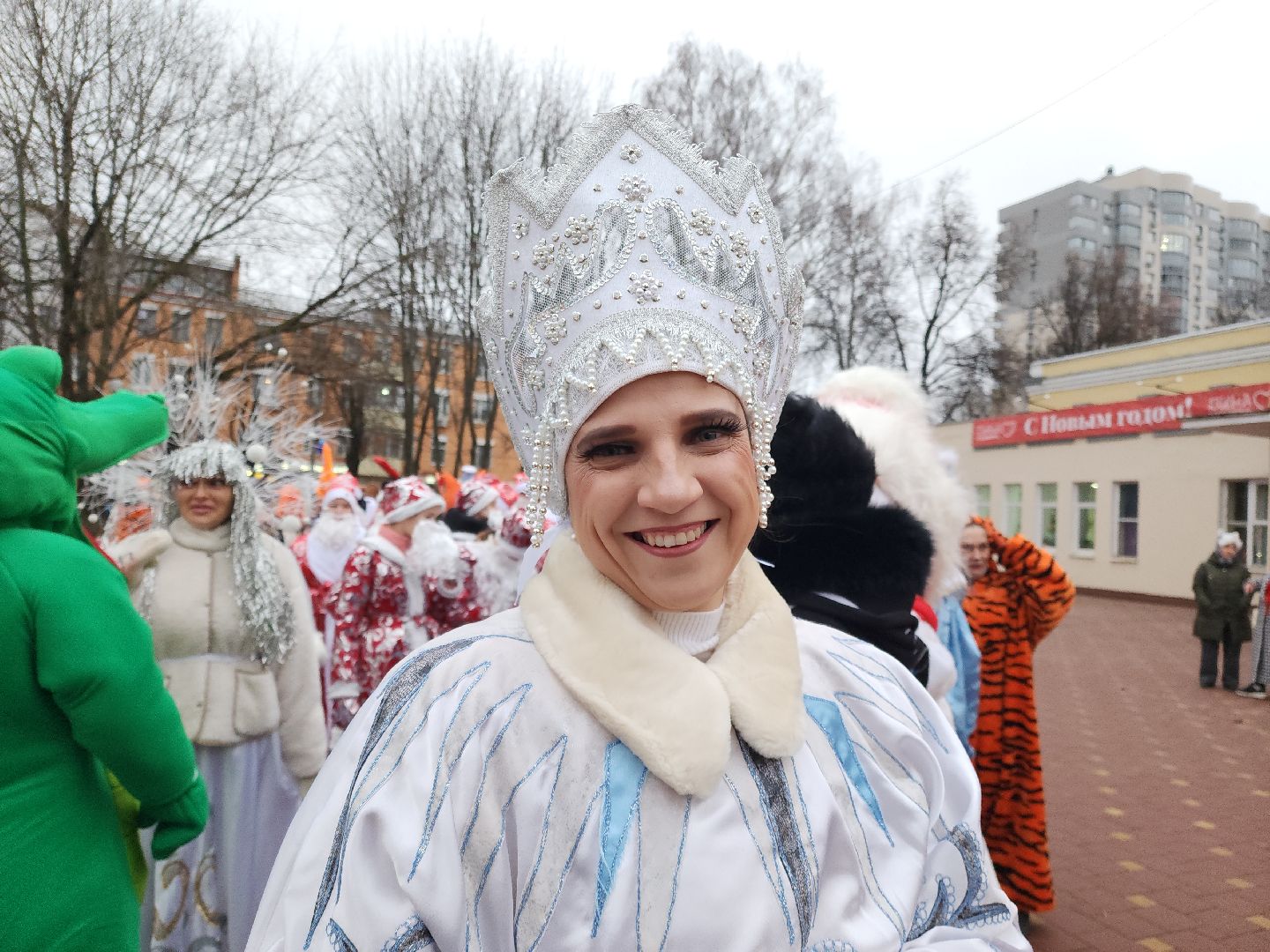 подольск, парк талалихина, зима в подмосковье, парад сказочных героев, вертикалки,