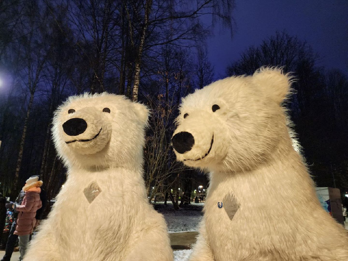 Солнечногорск, Жители, первый день зимы, зимний сезон, праздник, вертикалки,