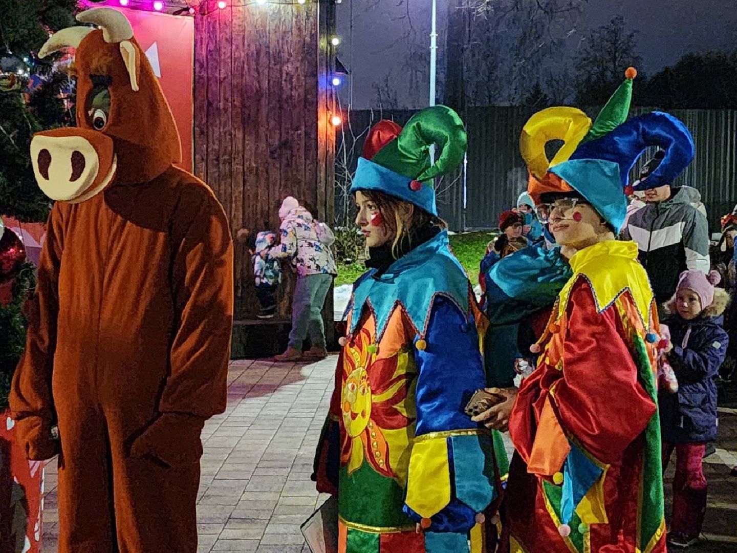 Солнечногорск, Жители, первый день зимы, зимний сезон, праздник, вертикалки,