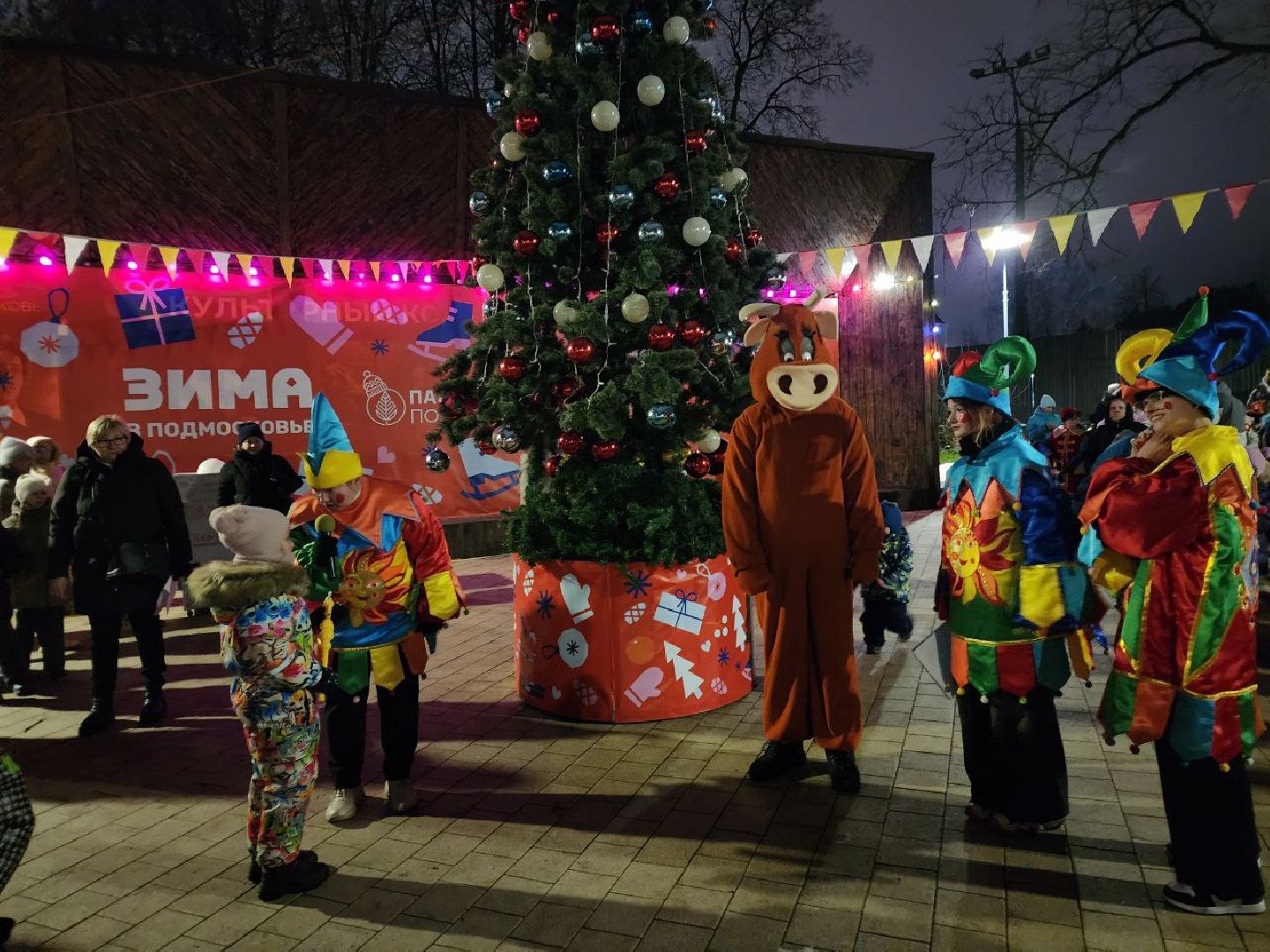Солнечногорск, Жители, первый день зимы, зимний сезон, праздник, вертикалки,