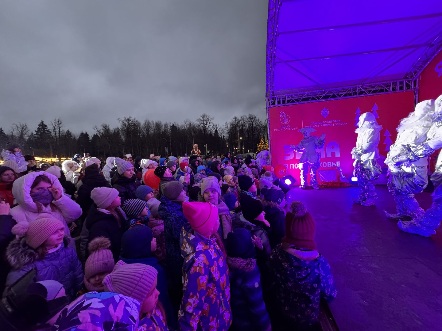 зима в подмосковье, Одинцовский парк, Вертикалка, Главная елка Одинцова, вертикальное видео,