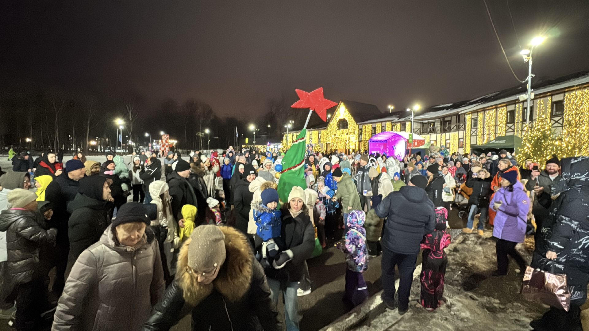 зима в подмосковье, Одинцовский парк, Вертикалка, Главная елка Одинцова, вертикальное видео,
