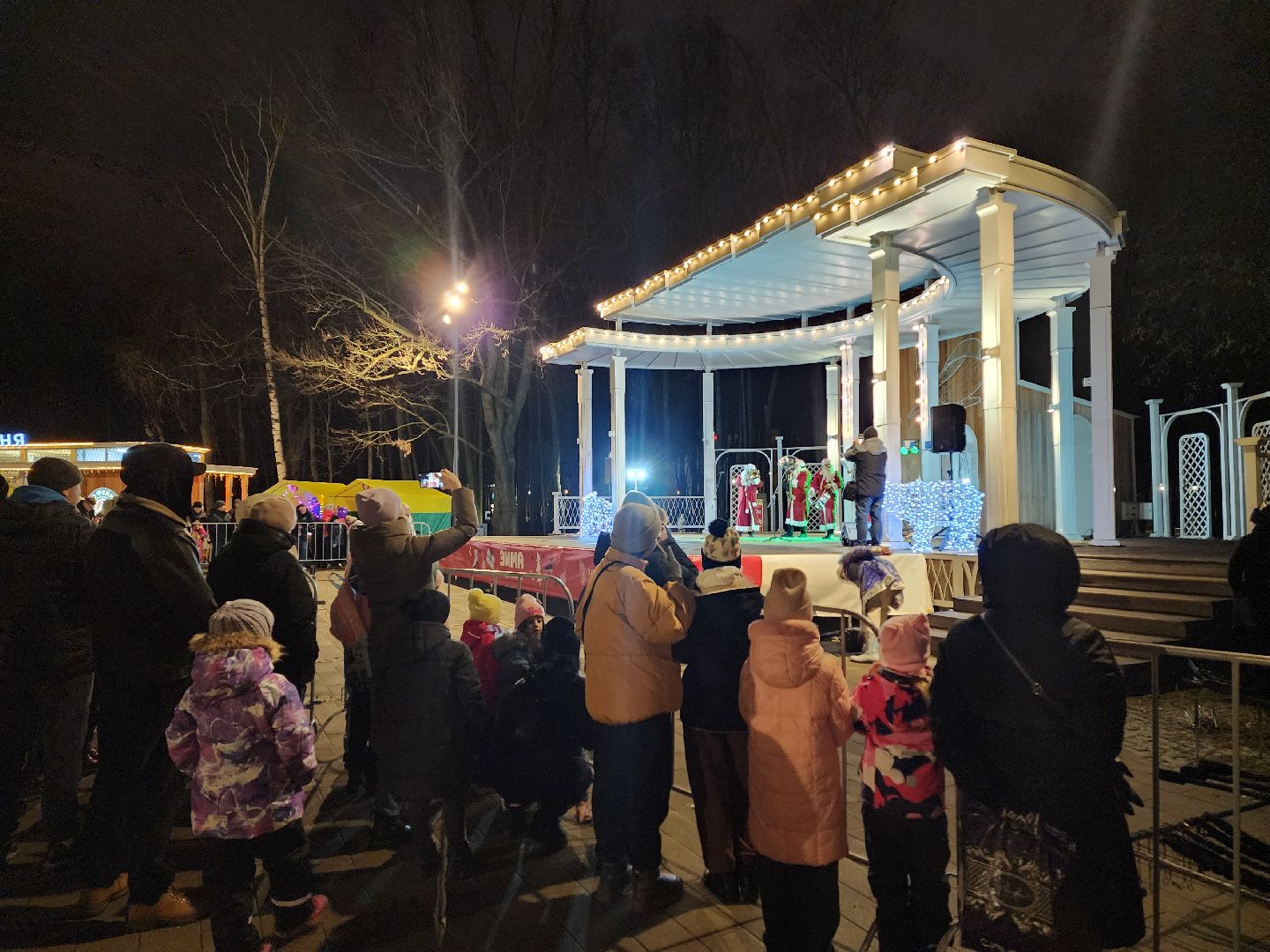 воскресенск, зима в подмосковье, дедушка мороз, вертикалки,