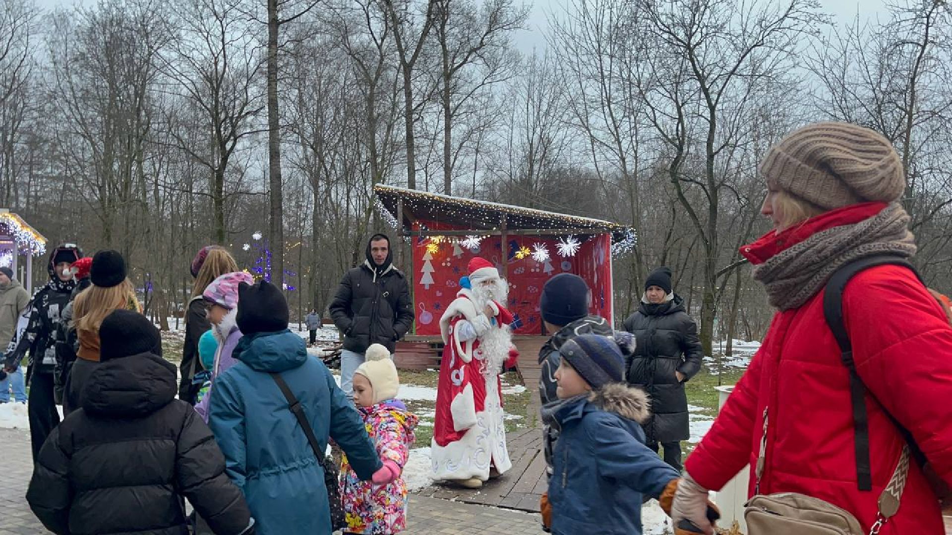 Парк, Праздник, вертикалки,зима в подмосковье,