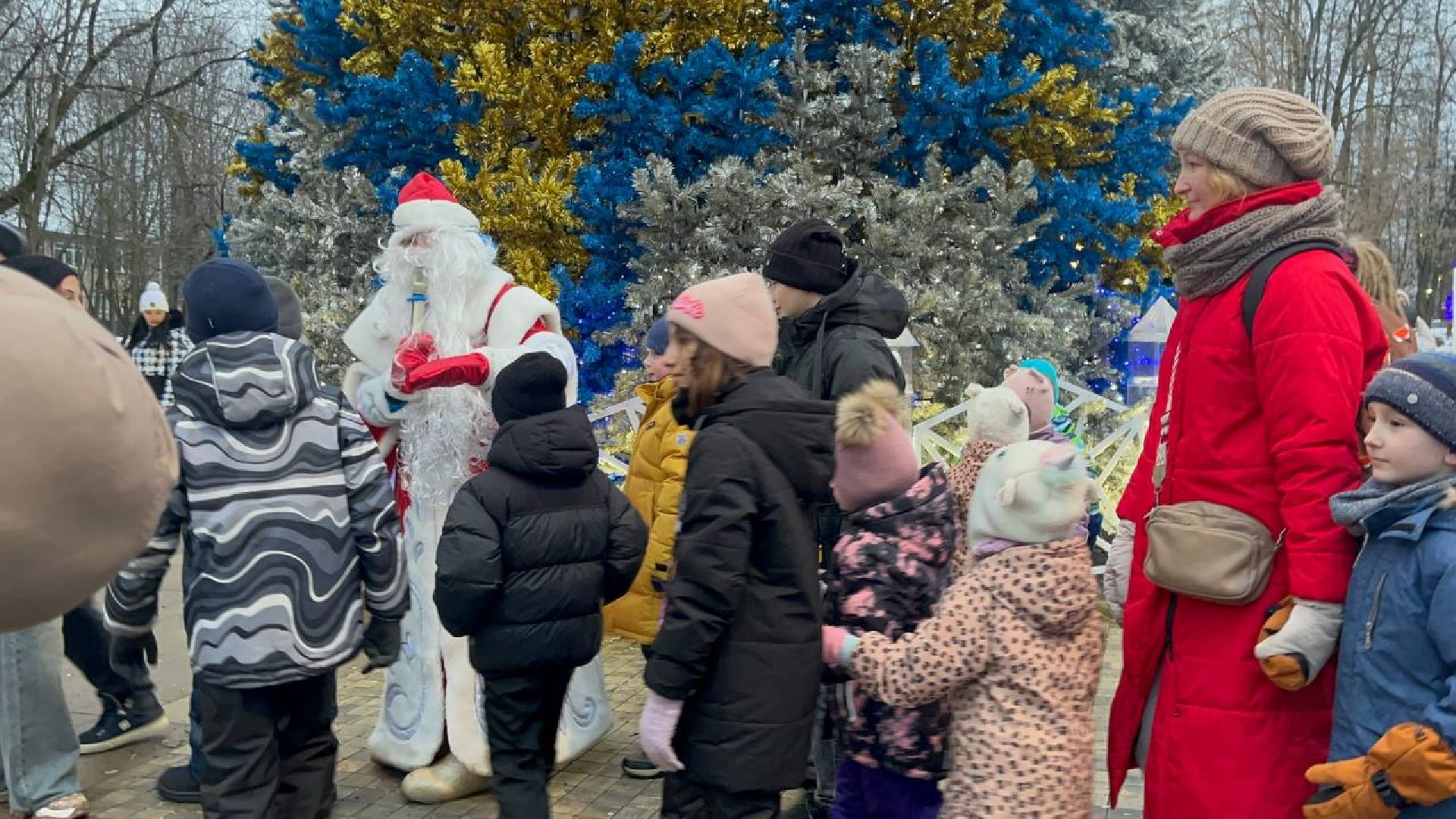 Парк, Праздник, вертикалки,зима в подмосковье,