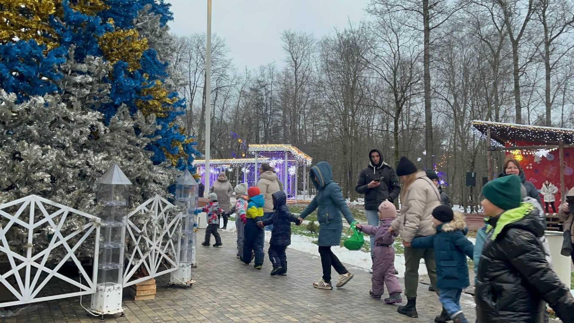 Парк, Праздник, вертикалки,зима в подмосковье,