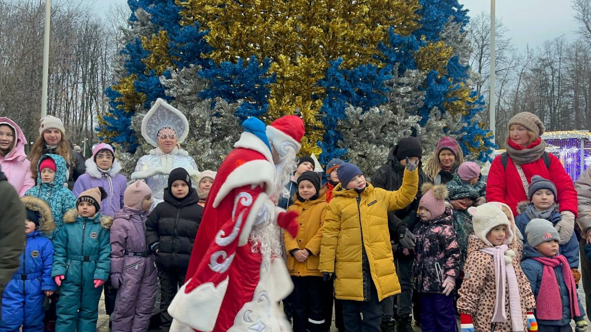 Парк, Праздник, вертикалки,зима в подмосковье,