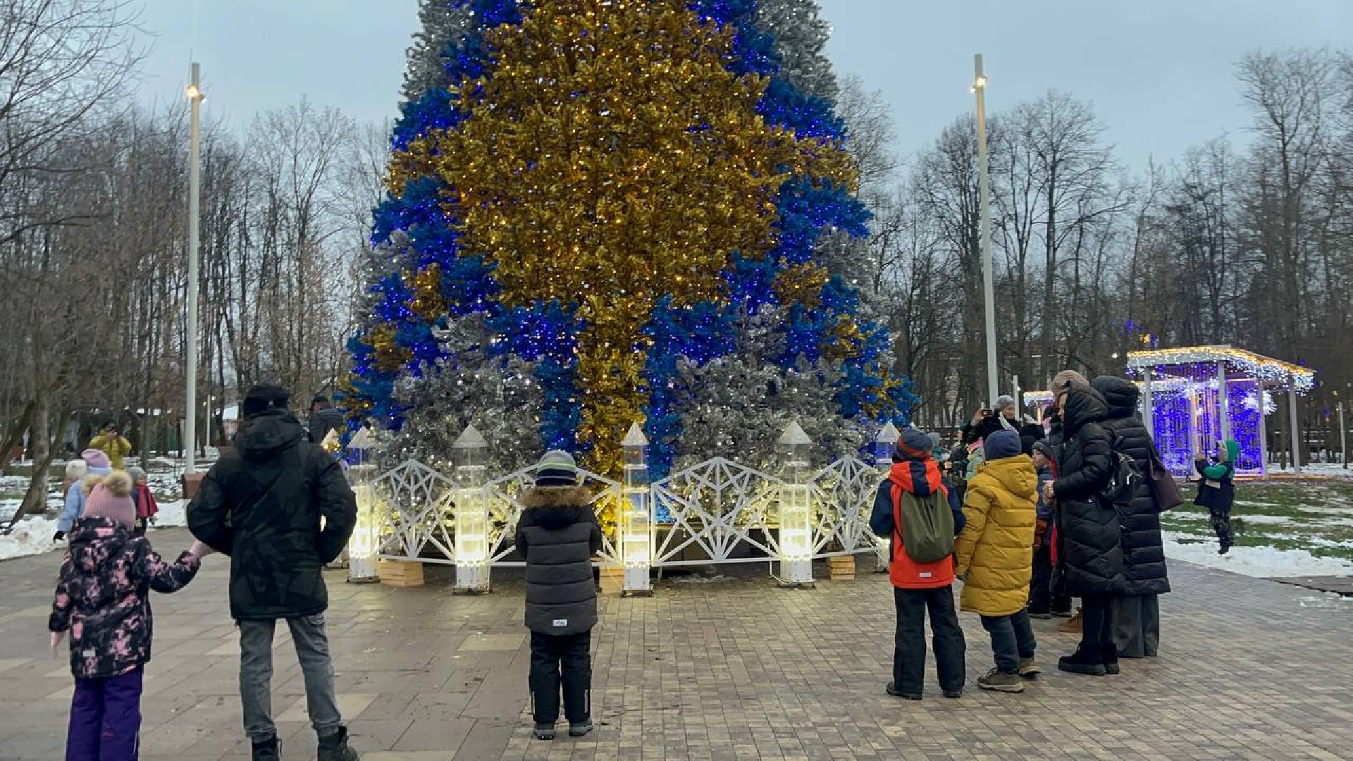 Парк, Праздник, вертикалки,зима в подмосковье,