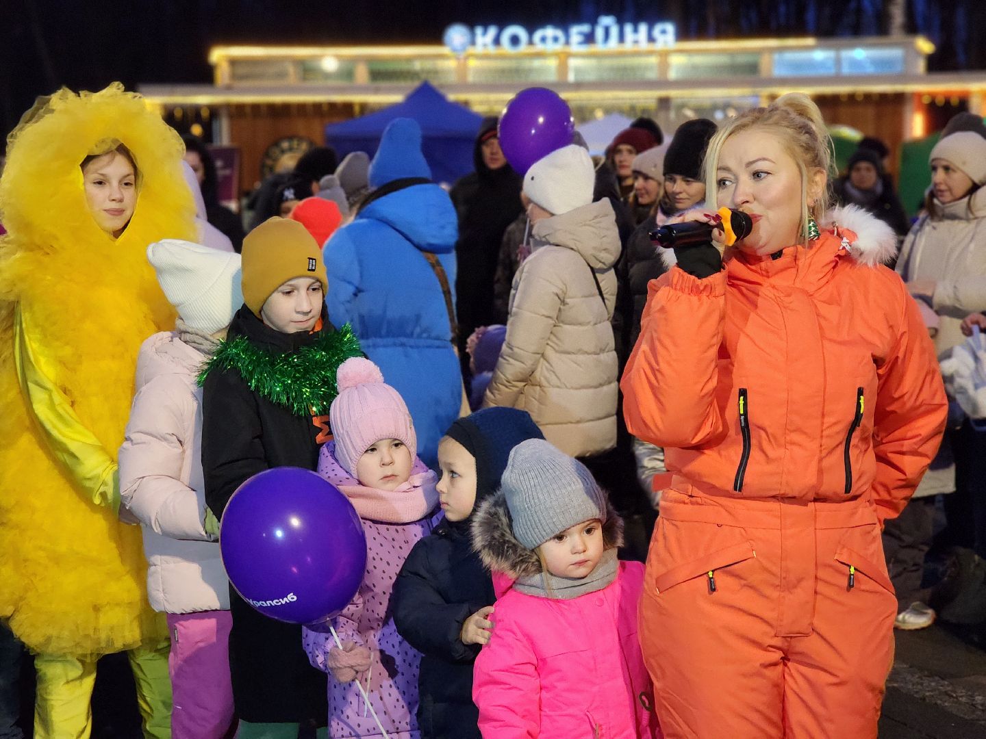воскресенск, зимний сезон, зима в подмосковье, парк кривякино, вертикалки,