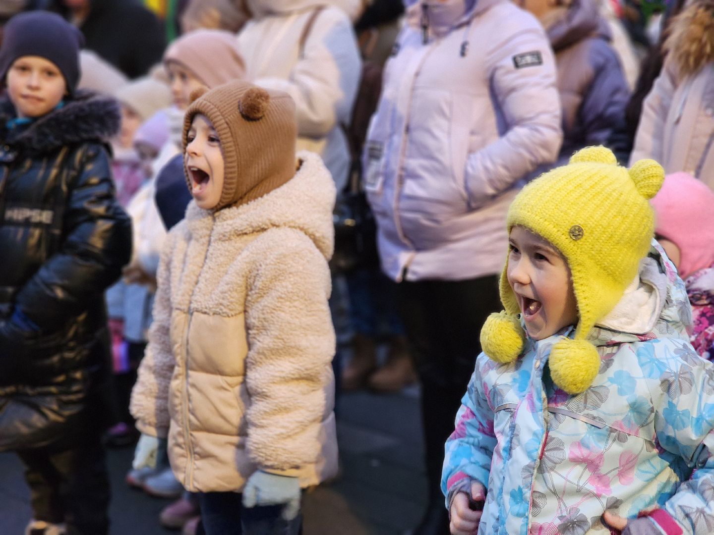 воскресенск, зимний сезон, зима в подмосковье, парк кривякино, вертикалки,