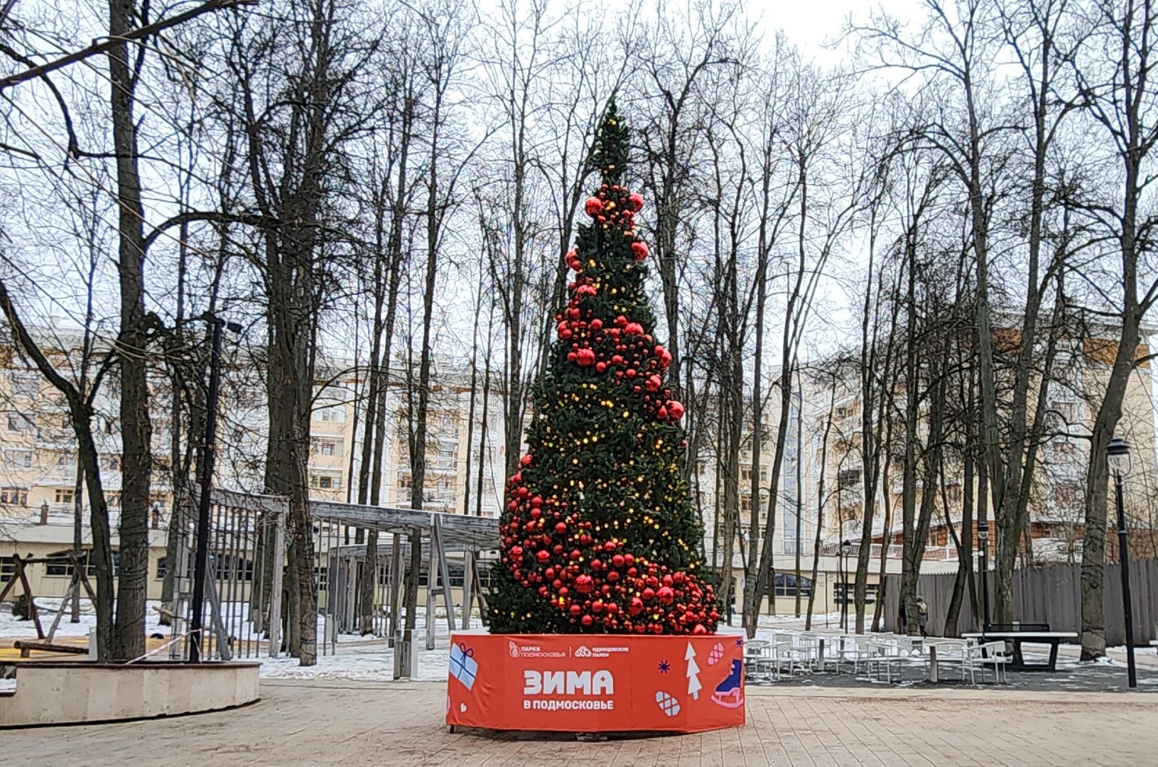 Звенигород, Туризм, Зима в Подмосковье, зимние забавы, вертикалка, вертикальное видео,