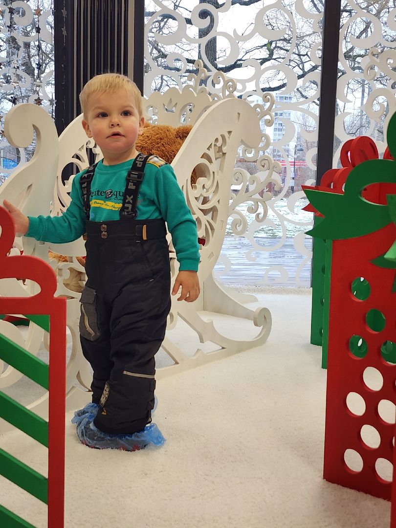 фрязино, вертикалки, резиденция деда мороза, лесопарк, почта деда мороза, новый год,зима в подмосковье,