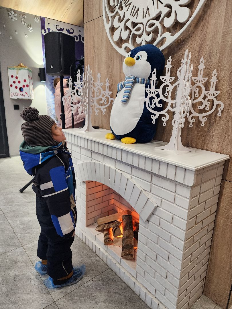 фрязино, вертикалки, резиденция деда мороза, лесопарк, почта деда мороза, новый год,зима в подмосковье,