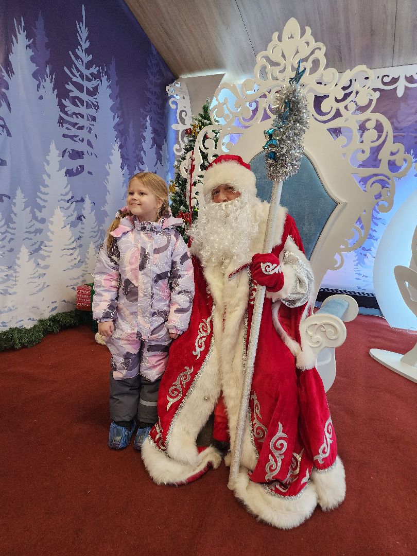 фрязино, вертикалки, резиденция деда мороза, лесопарк, почта деда мороза, новый год,зима в подмосковье,