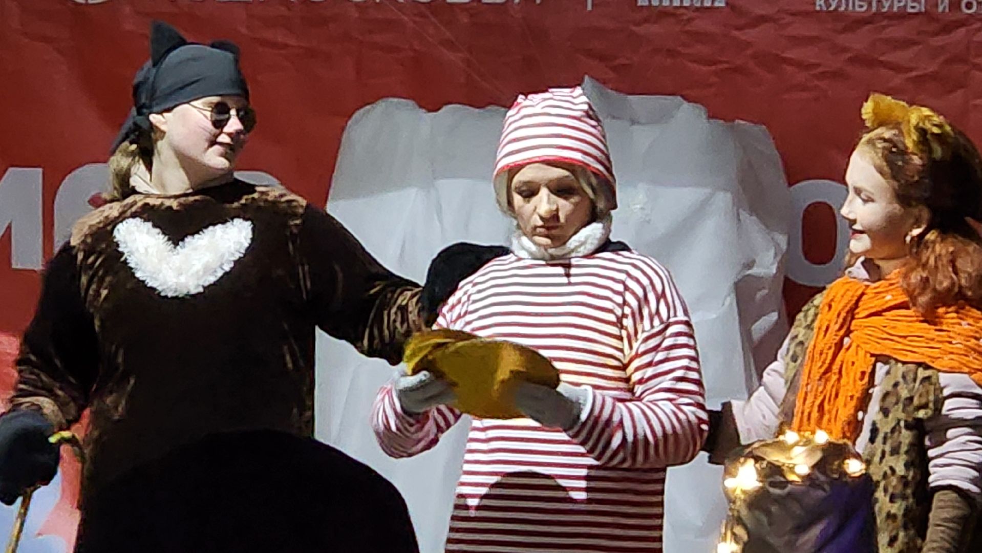 зима в подмосковье, ступино, парк михнево, вертикалки,