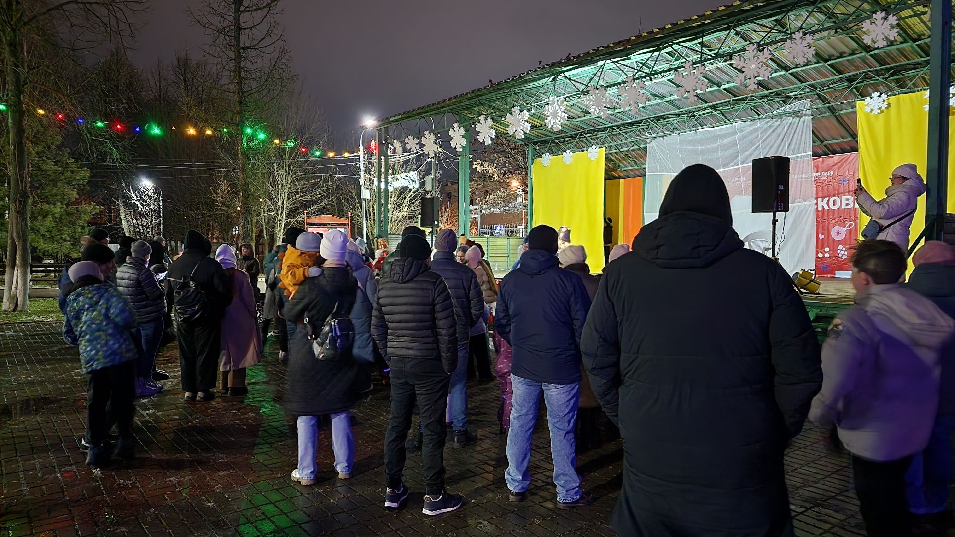 зима в подмосковье, ступино, парк михнево, вертикалки,