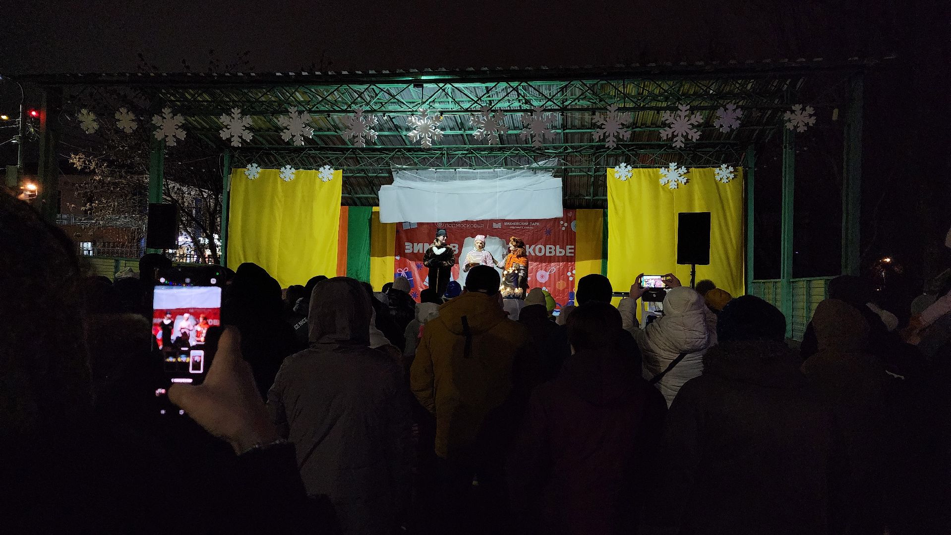 зима в подмосковье, ступино, парк михнево, вертикалки,