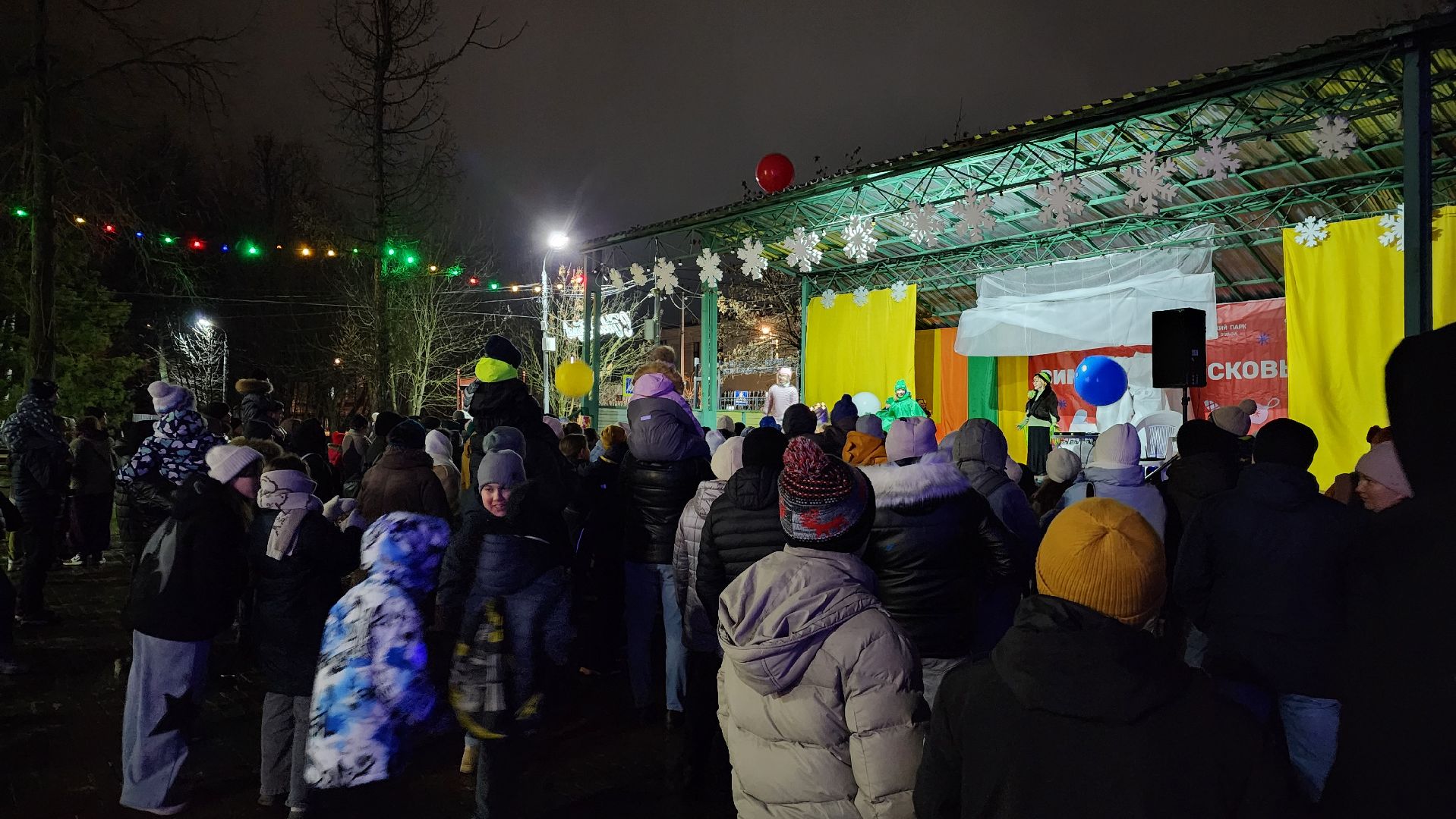 зима в подмосковье, ступино, парк михнево, вертикалки,