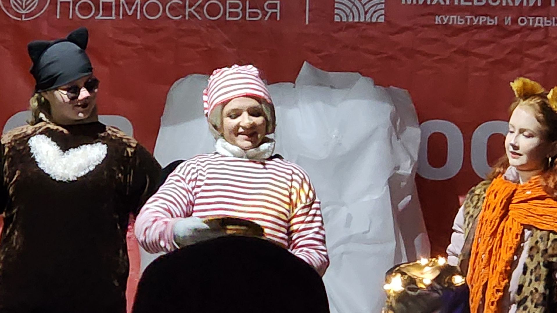 зима в подмосковье, ступино, парк михнево, вертикалки,