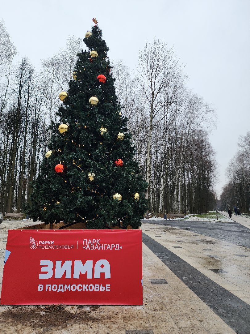 вертикалка, вертикаль, вертикали, вертикальное видео, электросталь, парк авангард, парки подмосковья, концерт,