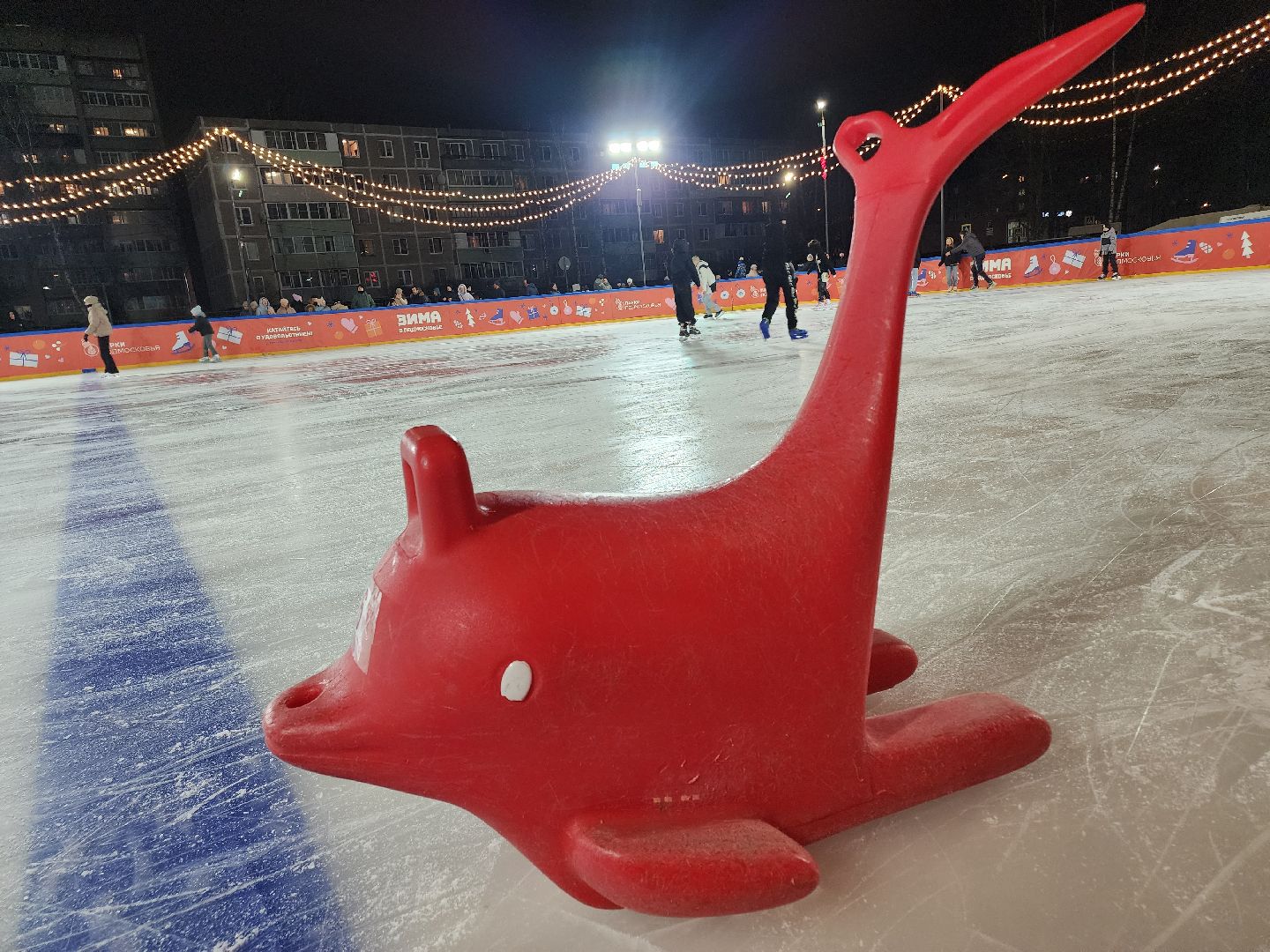 зима в подмосковье, Московская область, Егорьевск, Подмосковье, Каток, каток в парке,