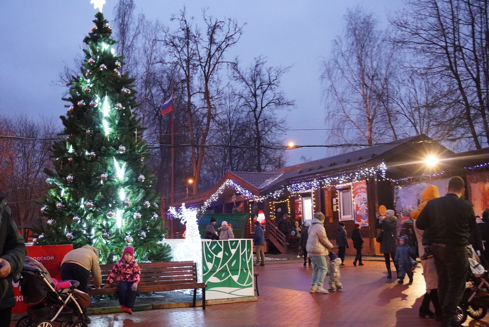 Павловский Посад, Городской округ Павловский Посад, зима в подмосковье, Парк, Праздник, Зима, вертикалка, вертикальное видео алка,