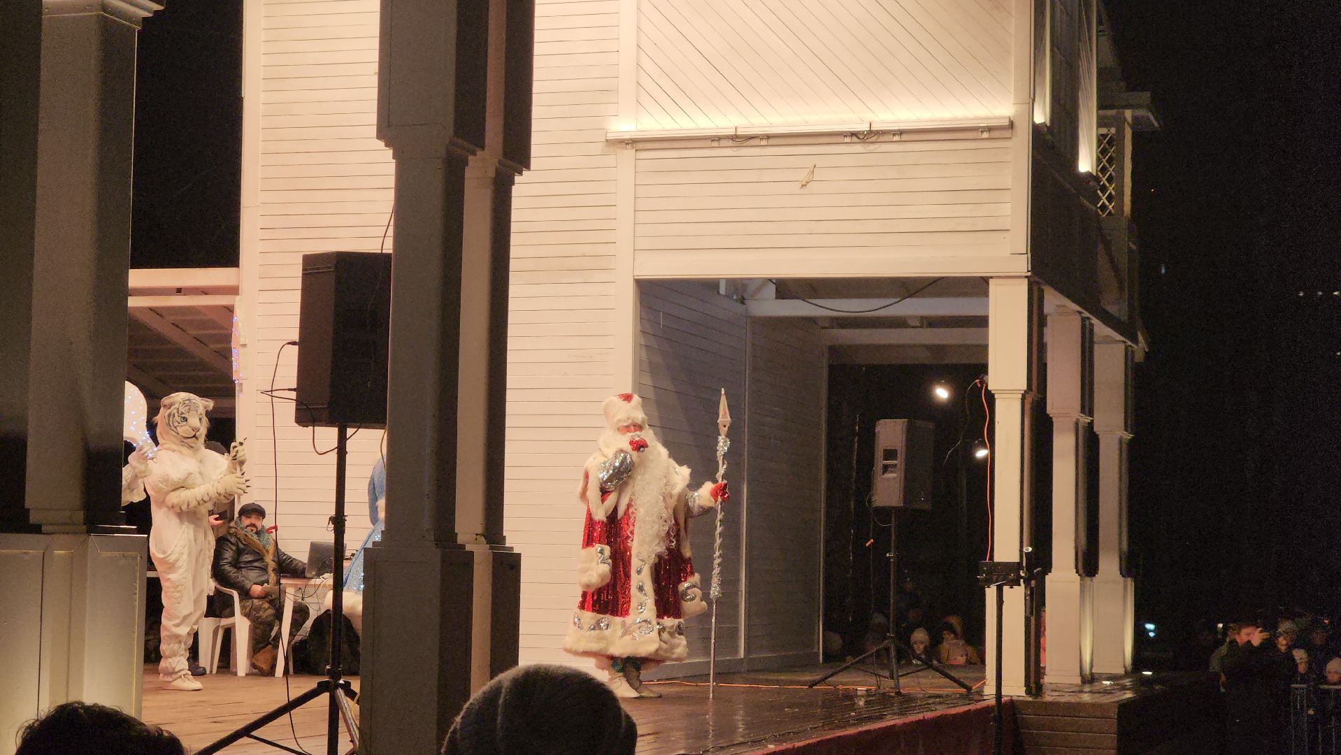 вертикалки, пушкино, дед мороз, новогодняя елка, дети, зажжение елки, зажжение огней на елке,