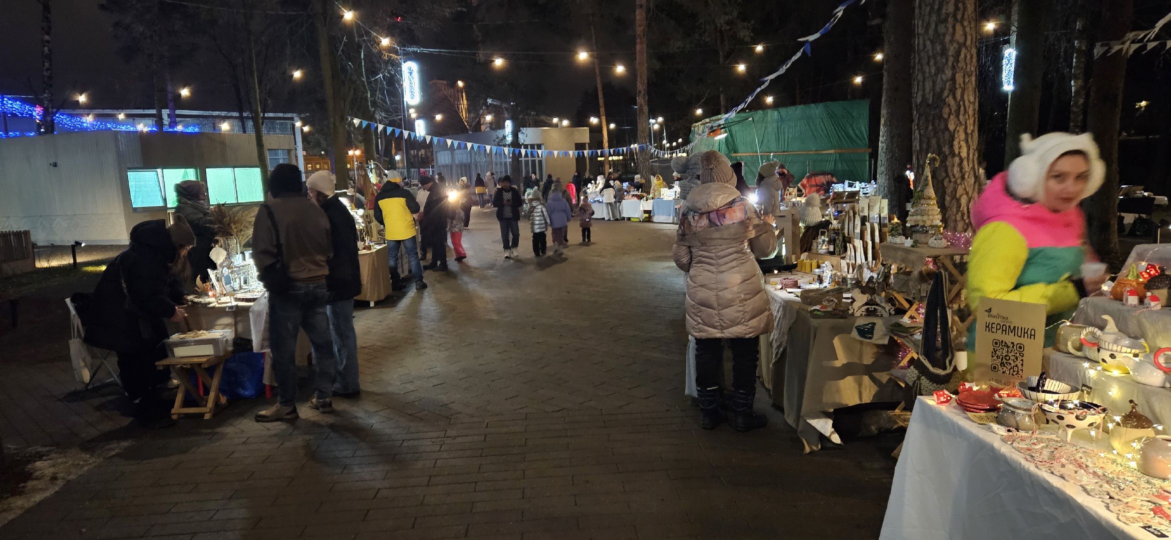 зимний сезон, жуковский парк, Жуковский,