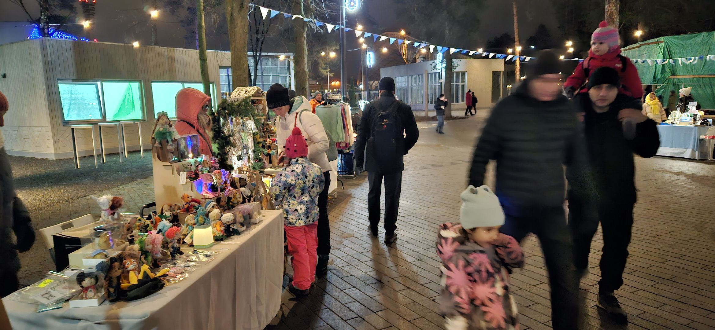 зимний сезон, жуковский парк, Жуковский,