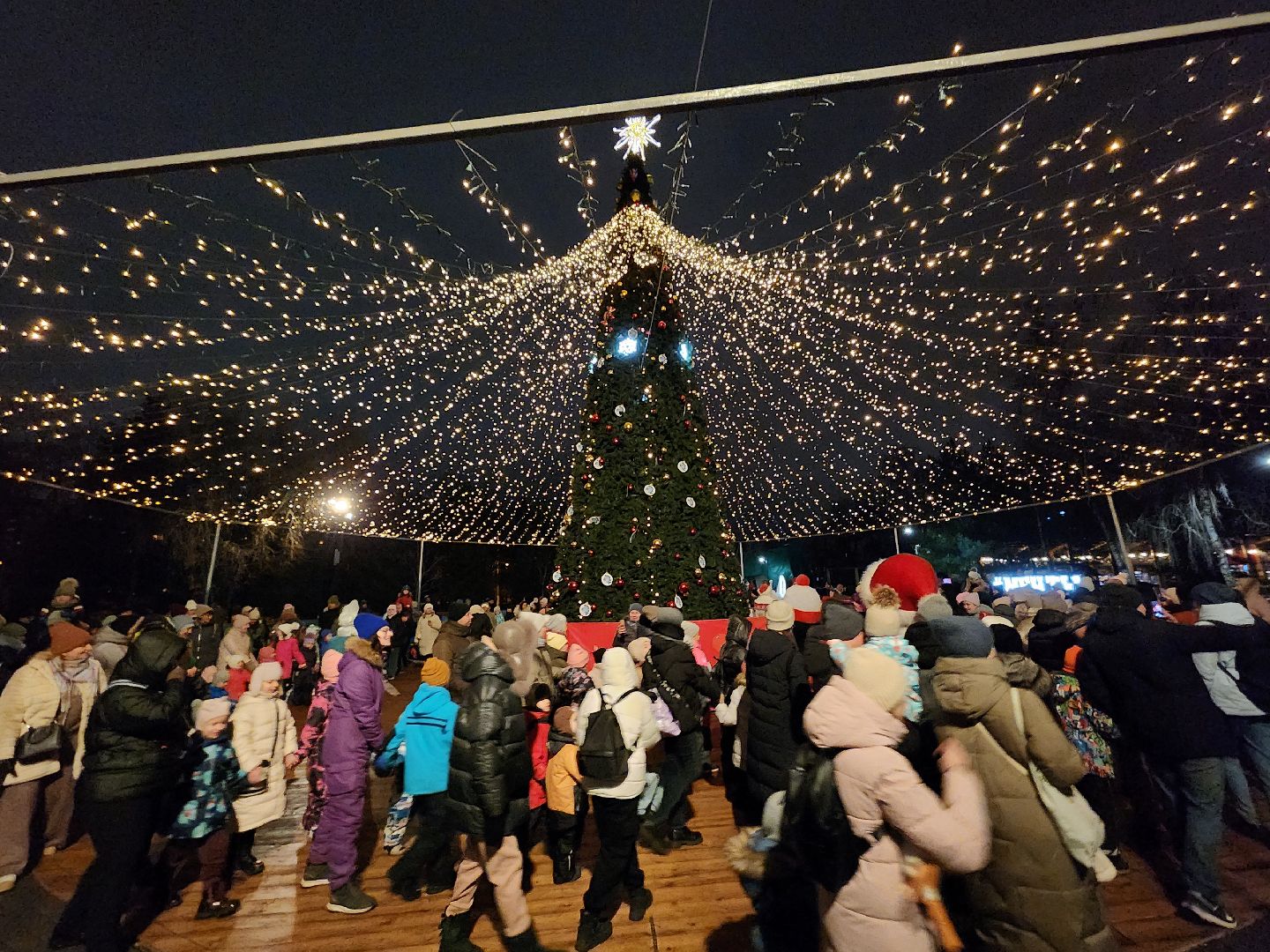 вертикалки, мытищи, ёлка,