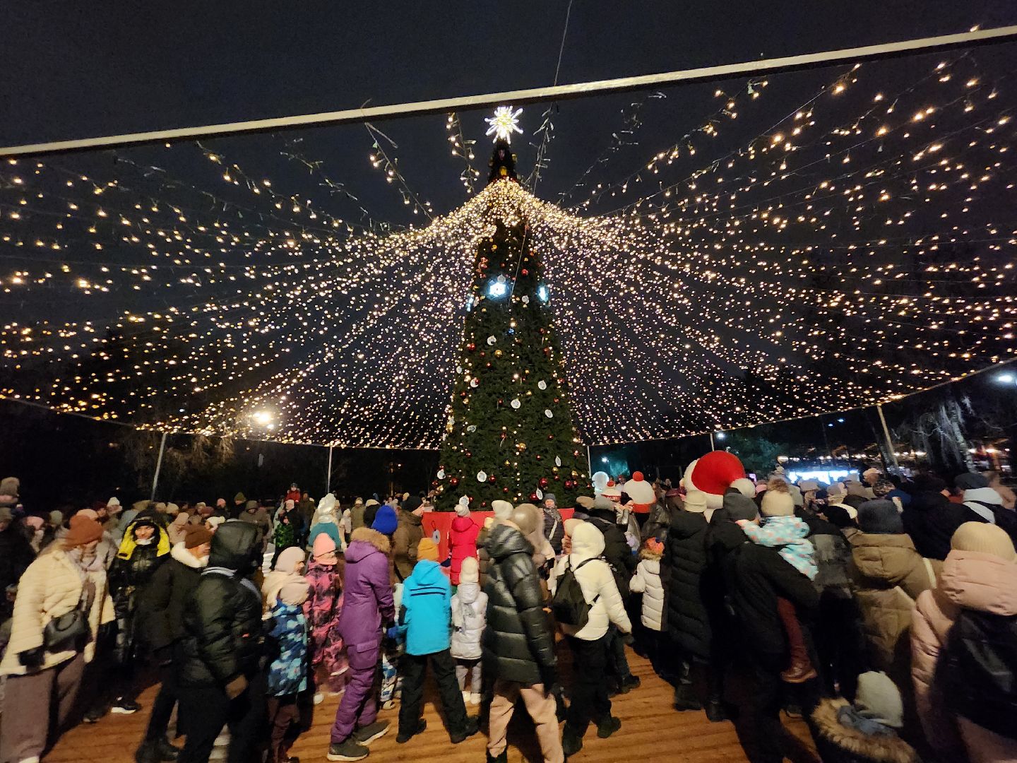 вертикалки, мытищи, ёлка,