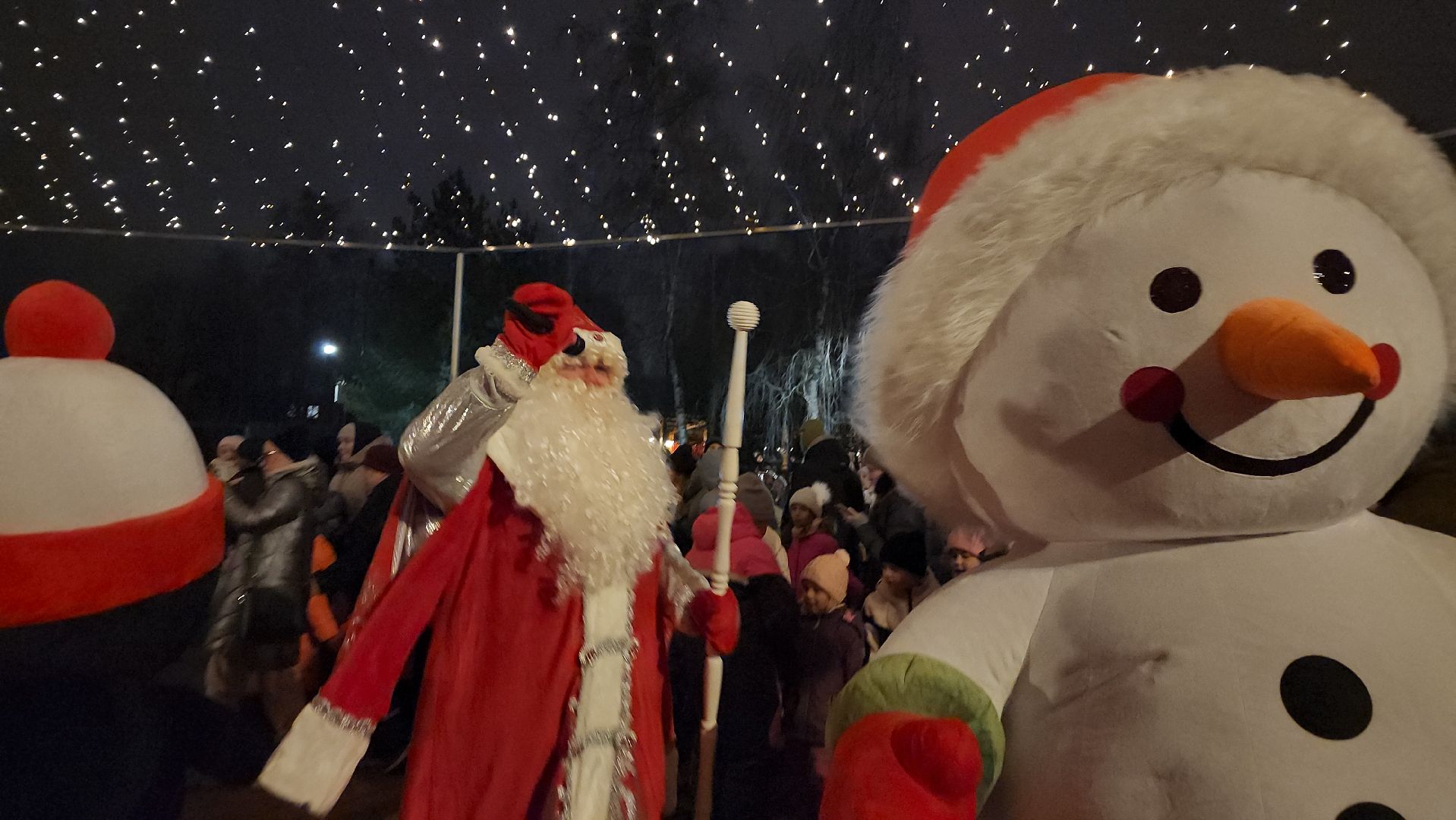 вертикалки, мытищи, ёлка,