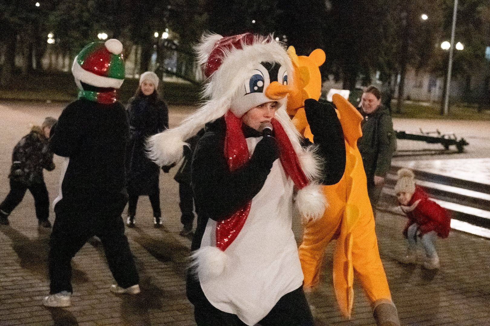 общество, лыткарино, открытие зимнего сезона, вертикалки,