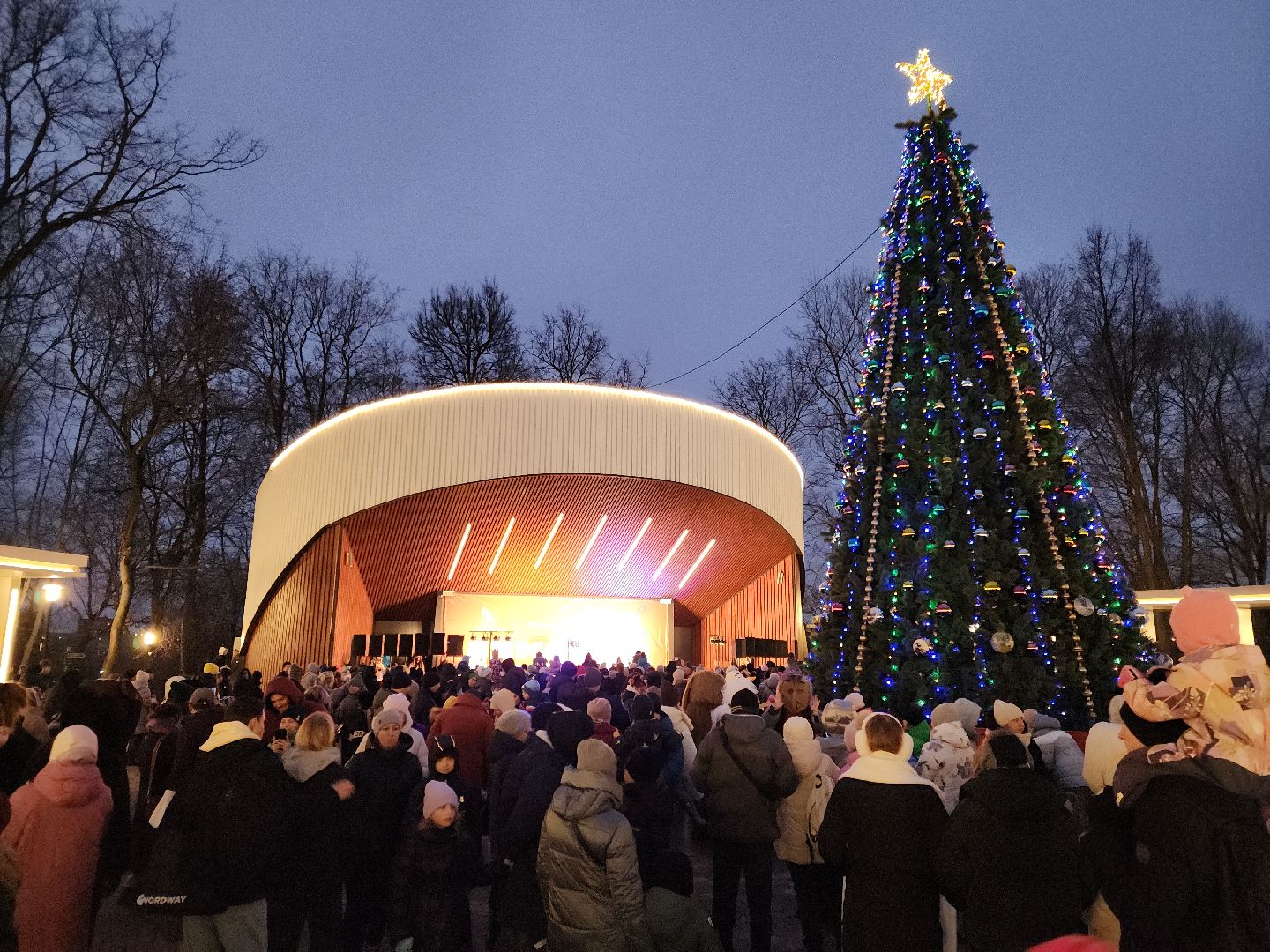 подольск, зажжение огней на елке, зима в подмосковье, вертикалка