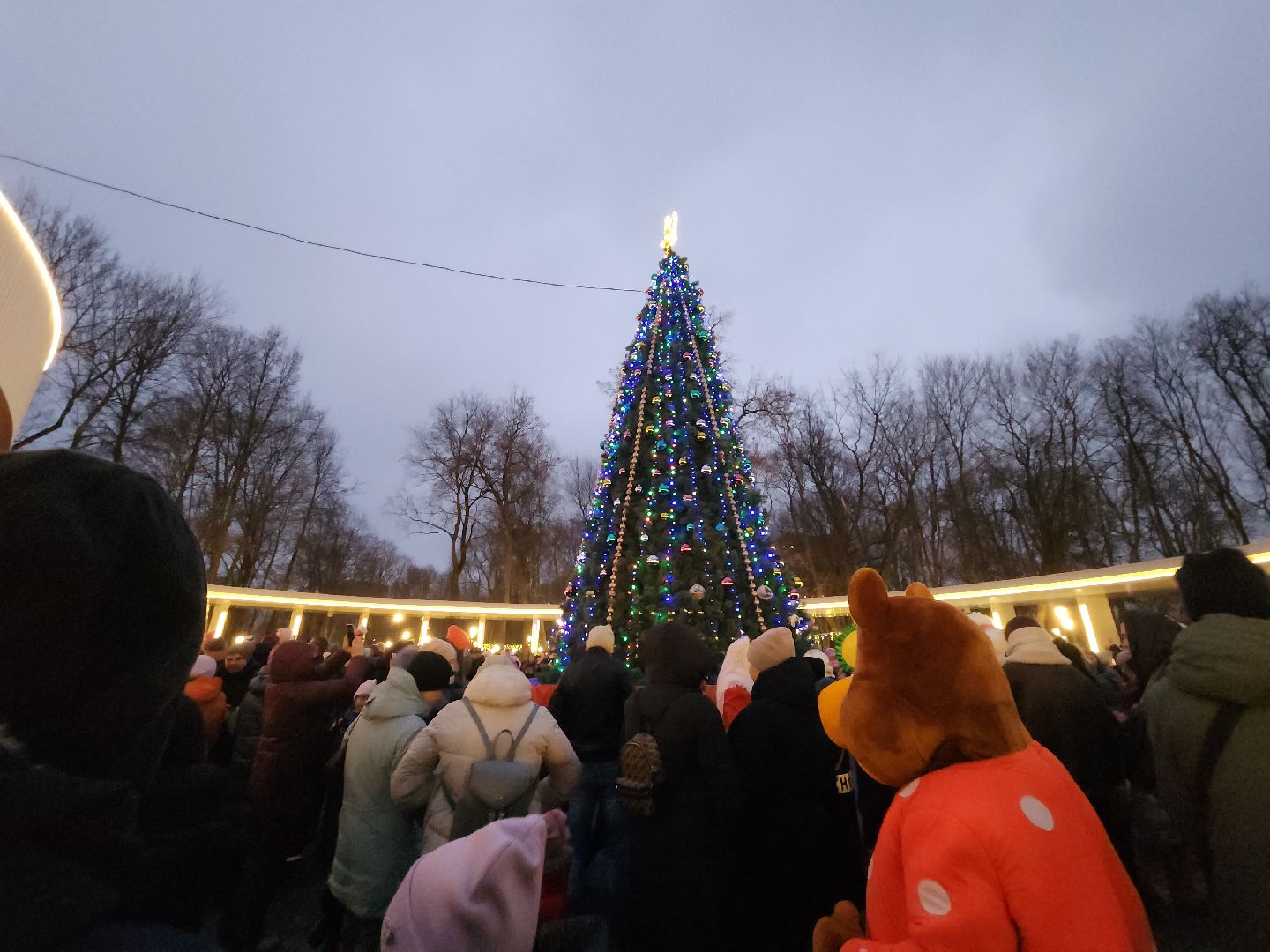 подольск, зажжение огней на елке, зима в подмосковье, вертикалка