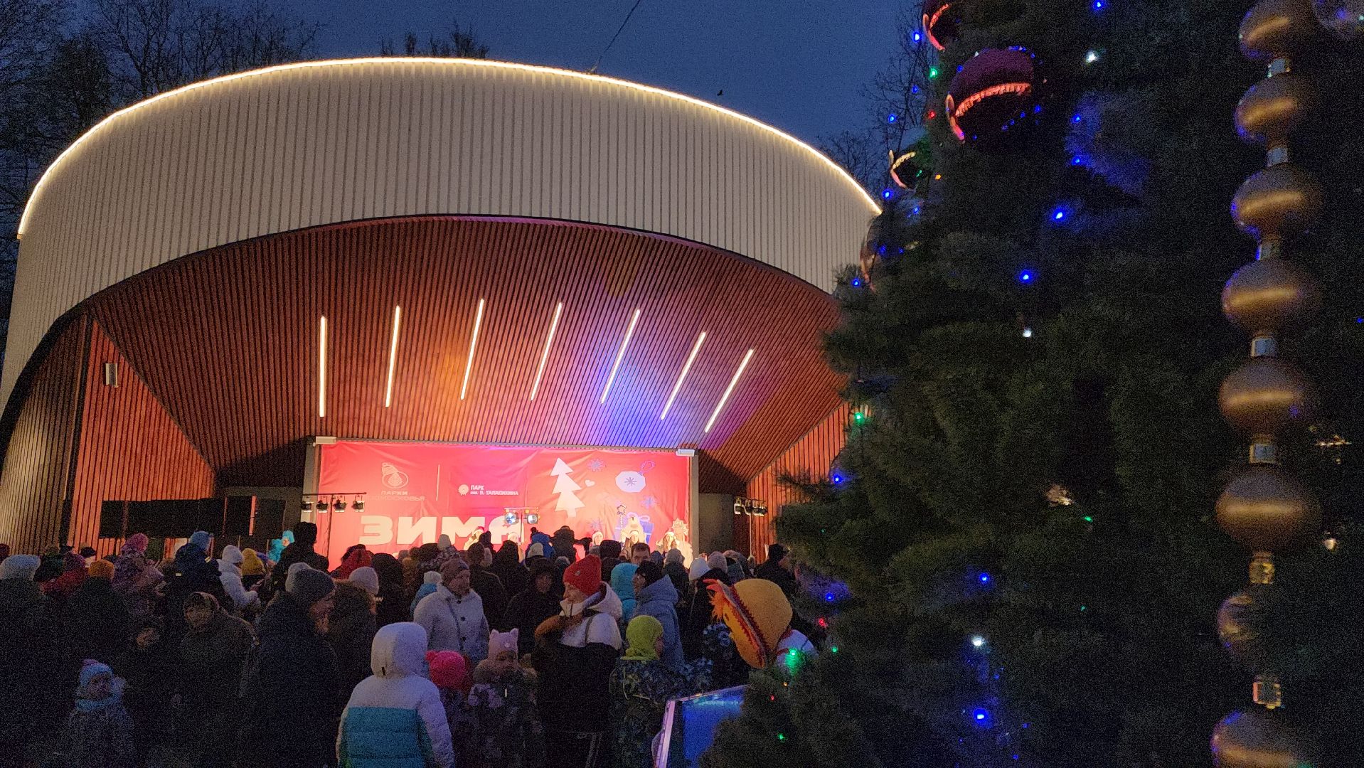 подольск, зажжение огней на елке, зима в подмосковье, вертикалка