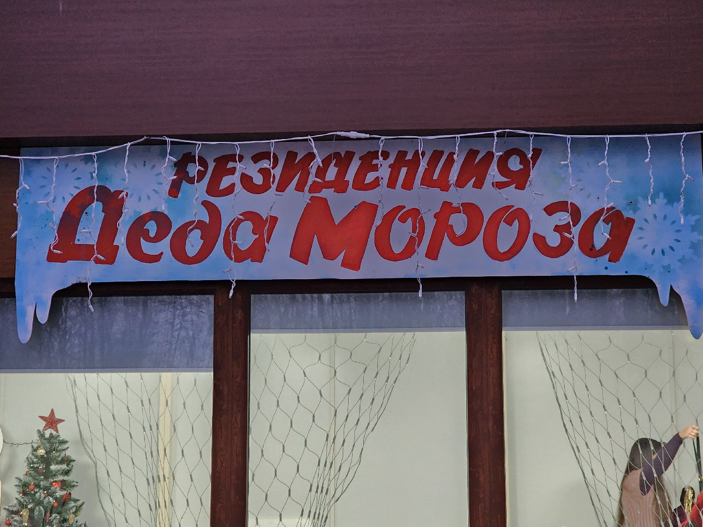 ногинск, жители, общество, дети, снегурочка, резиденция деда мороза, письмо деду морозу, вертикалки, зима в подмосковье,