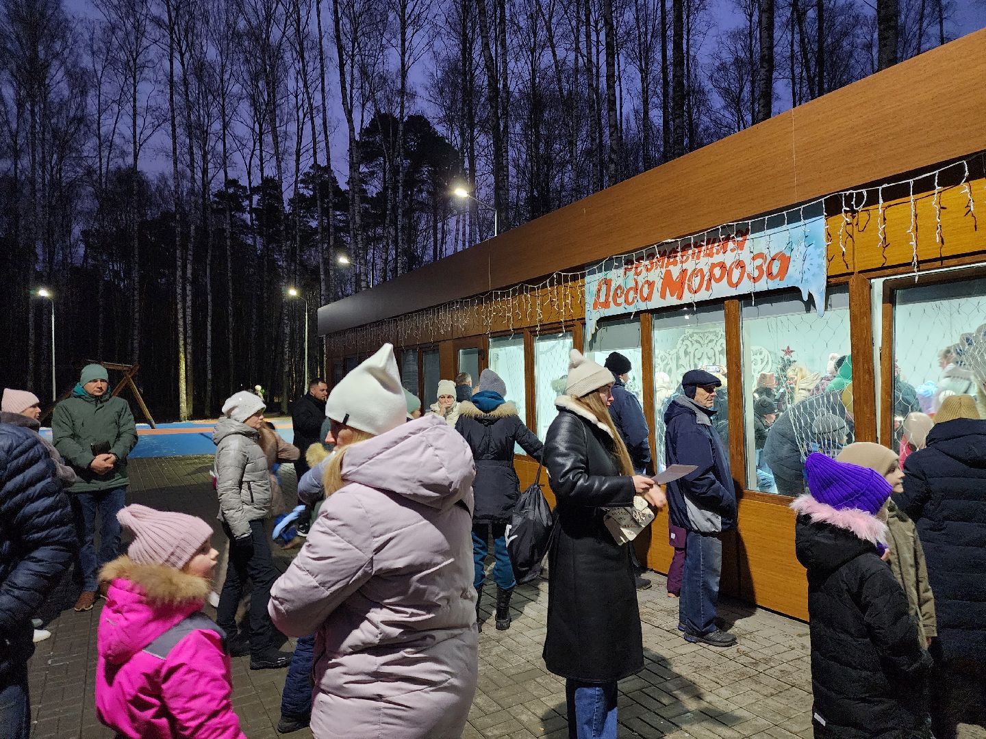 ногинск, жители, общество, дети, снегурочка, резиденция деда мороза, письмо деду морозу, вертикалки, зима в подмосковье,